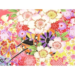 Cô bé một tuổi 3798