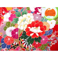 【Hàng chưa sử dụng】Đồ trẻ em - Bé gái một mảnh 3810