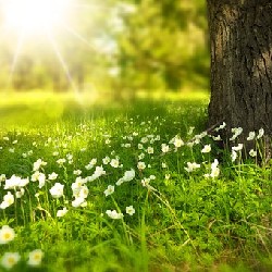 Lều cắm trại vải bạt gia đình 6 người còn bảo hành