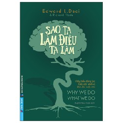 Sao Ta Làm Điều Ta Làm - Edward L. Deci [LK]