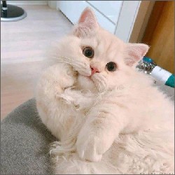 15/12 test