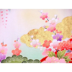 【Hàng chưa sử dụng】Đồ cho trẻ em - Bé gái 4 3792