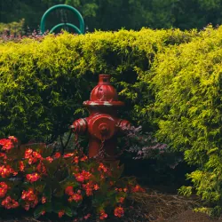 Ống cứu hỏa sắt sơn đỏ ngoài trời hình trụ có van khí 3986