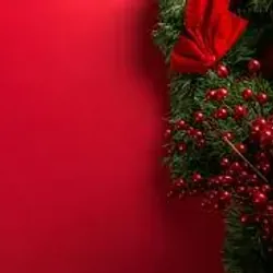 Mua đi nhanh lên 4165