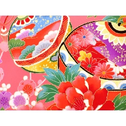 【Sản phẩm chưa sử dụng】Áo trẻ em dành cho bé gái 3808