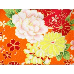 [Sản phẩm chưa sử dụng] Bộ đồ trẻ em 3811