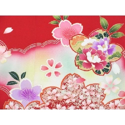 【Hàng chưa sử dụng】Trẻ em gái bốn tuổi 3809