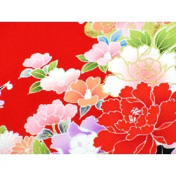 【Hàng chưa sử dụng】Đồ cho trẻ em - Bé gái 4 3792