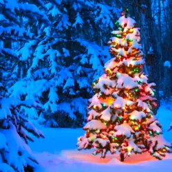 Mua đi nhanh lên 4165