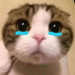 phân loại edit bằng pc