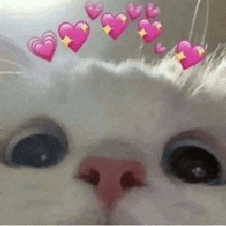 Thêm nội dung vào cho tên nó dài nè