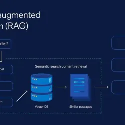 Duong test update cate