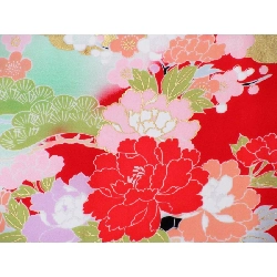 【Hàng chưa sử dụng】Đồ cho trẻ em - Bé gái 4 3792