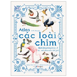Atlas Các Loài Chim - Bách Khoa Bằng Hình Về Các Loài Chim Trên Thế Giới (Bìa Cứng) - Barbara Taylor, Richard Orr [LK]