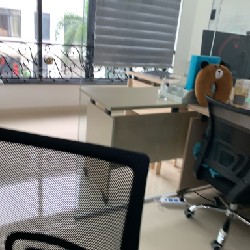 ban 500 áo 155