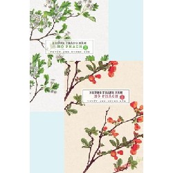 [SÁCH CŨ HCM] Combo Những Tháng Năm Hổ Phách (Bộ 2 Cuốn) - Tuyết Ảnh Sương Hồn