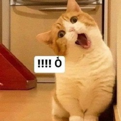 Sách