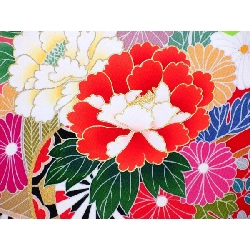 【Sản phẩm chưa sử dụng】Áo kimono cho bé gái 3959