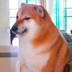 Ê trên app cx k thấy nó treo banner đóng shop ở My listings với Shop profile