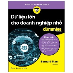 Dữ Liệu Lớn Cho Doanh Nghiệp Nhỏ For Dummies - Bernard Marr [HCM]