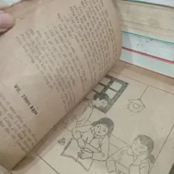 Cây cảnh sen đá gốc cao lá xanh đốm trắng trang trí nội thất copy 1