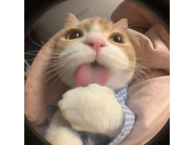 [Nội dung mô tả do AI 2ssssss22223 3442