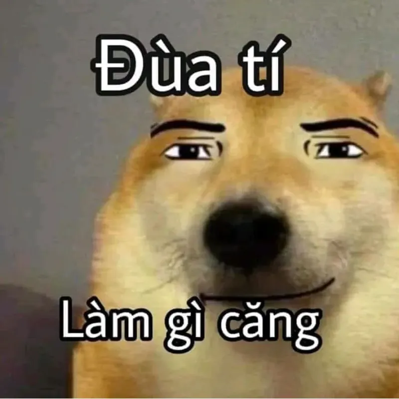 Mua đi nhanh lên 4165