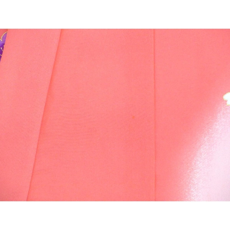 【Sản phẩm chưa sử dụng】Áo trẻ em dành cho bé gái 3808