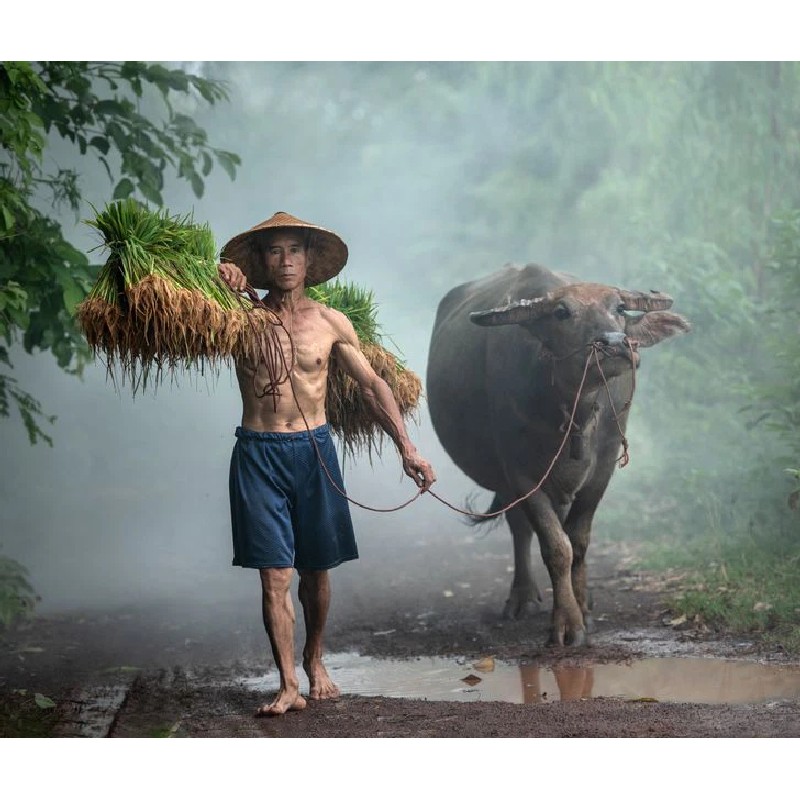 Sản phẩm đầu tiên 1