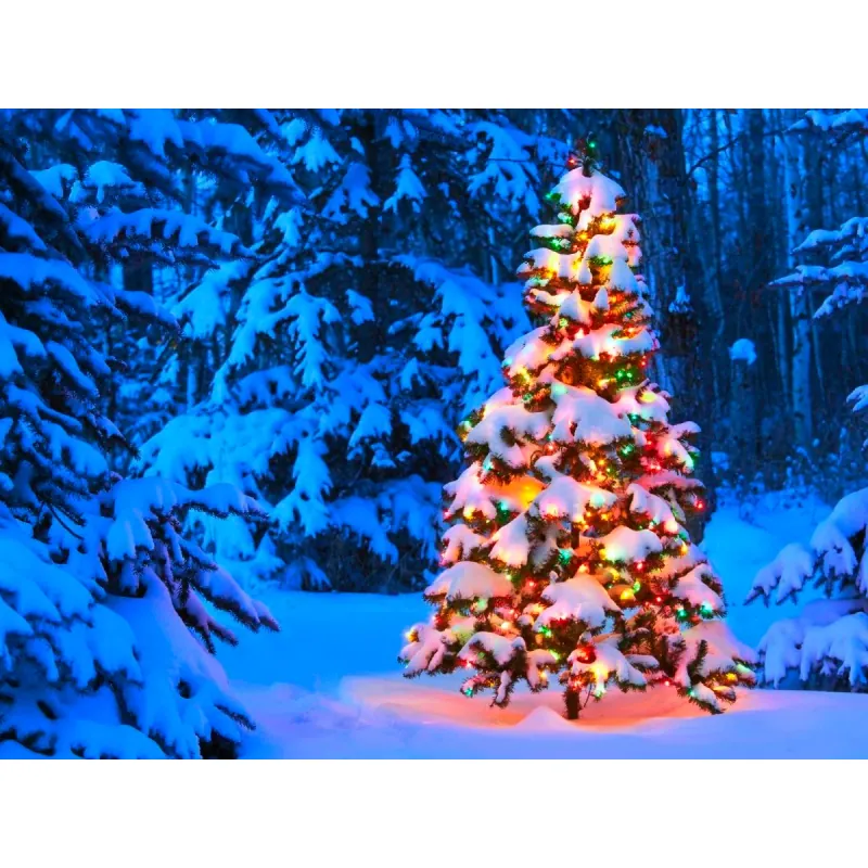 Vi6 freeship editedddd 4046