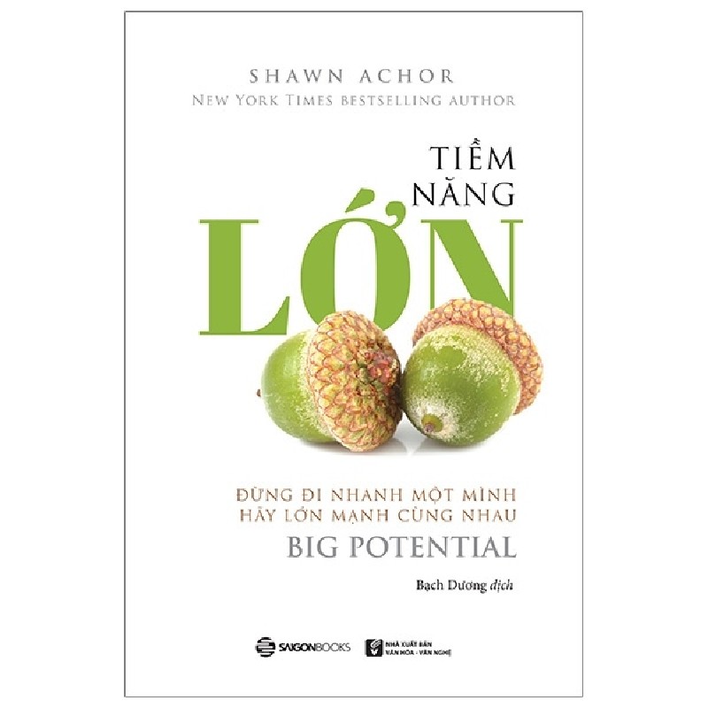 Tiềm Năng Lớn - Shawn Achor [HCM] 1827
