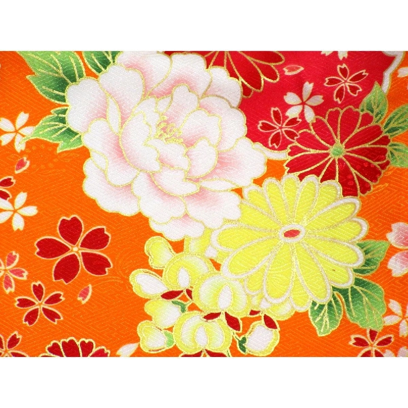 [Sản phẩm chưa sử dụng] Bộ đồ trẻ em 3811