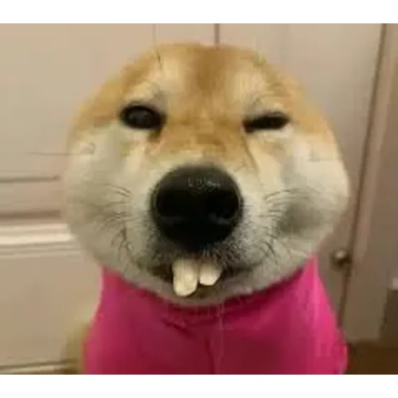 Sách siêu nhiều phân loại 4174