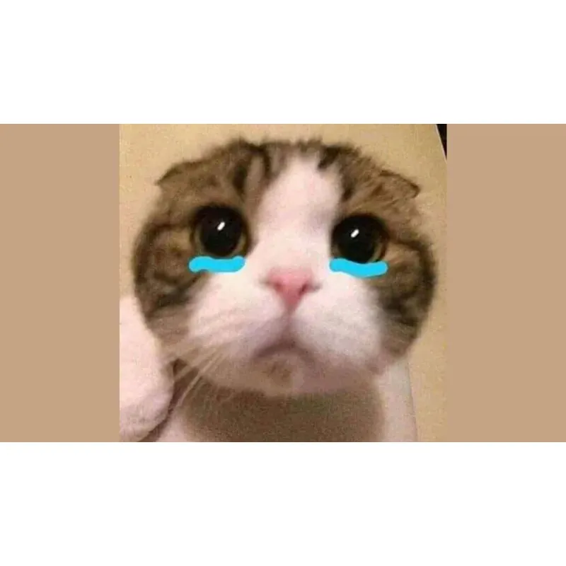 phân loại edit bằng pc 4137