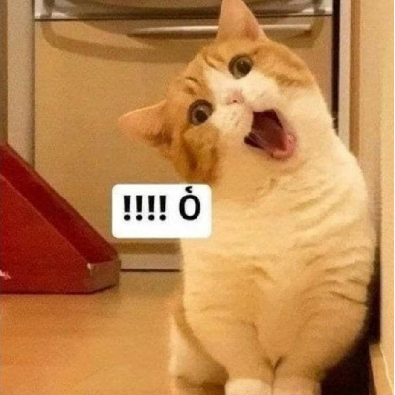 Sách 43