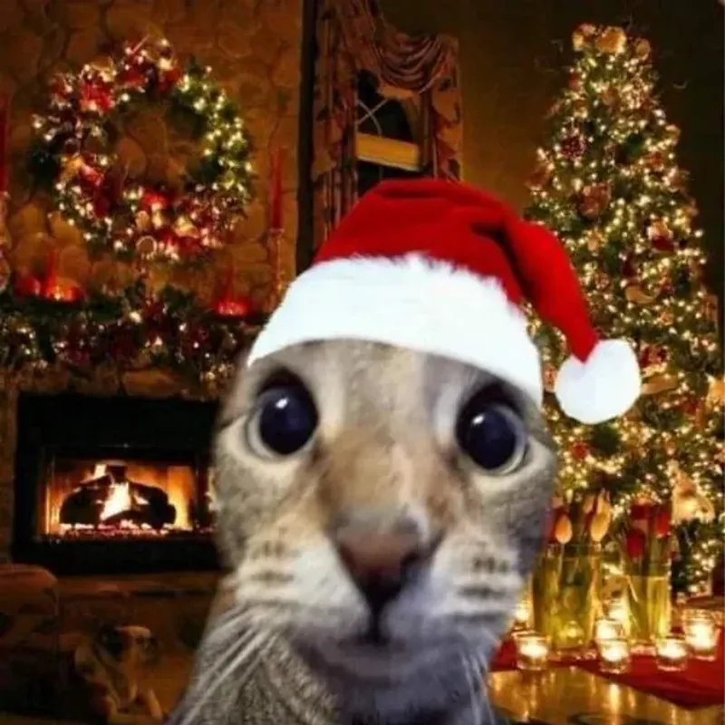 ádfasd fasdf ádf ádf ádf 4083