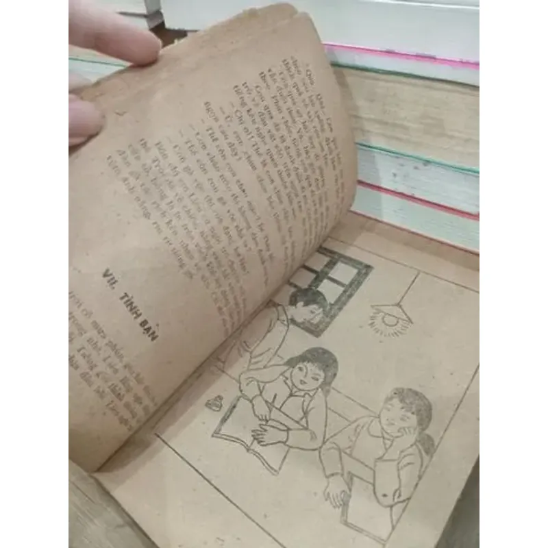 Cây cảnh sen đá gốc cao lá xanh đốm trắng trang trí nội thất copy 1 4100